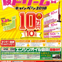 ホリデードリームキャンペーン2018_250